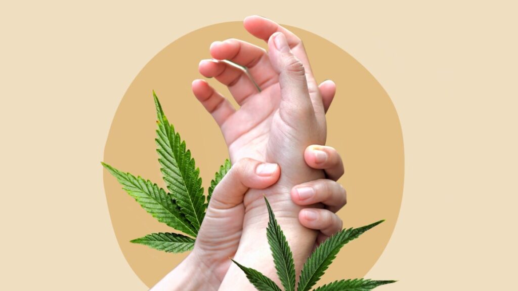 How to Find the Best Quality CBD Flowers