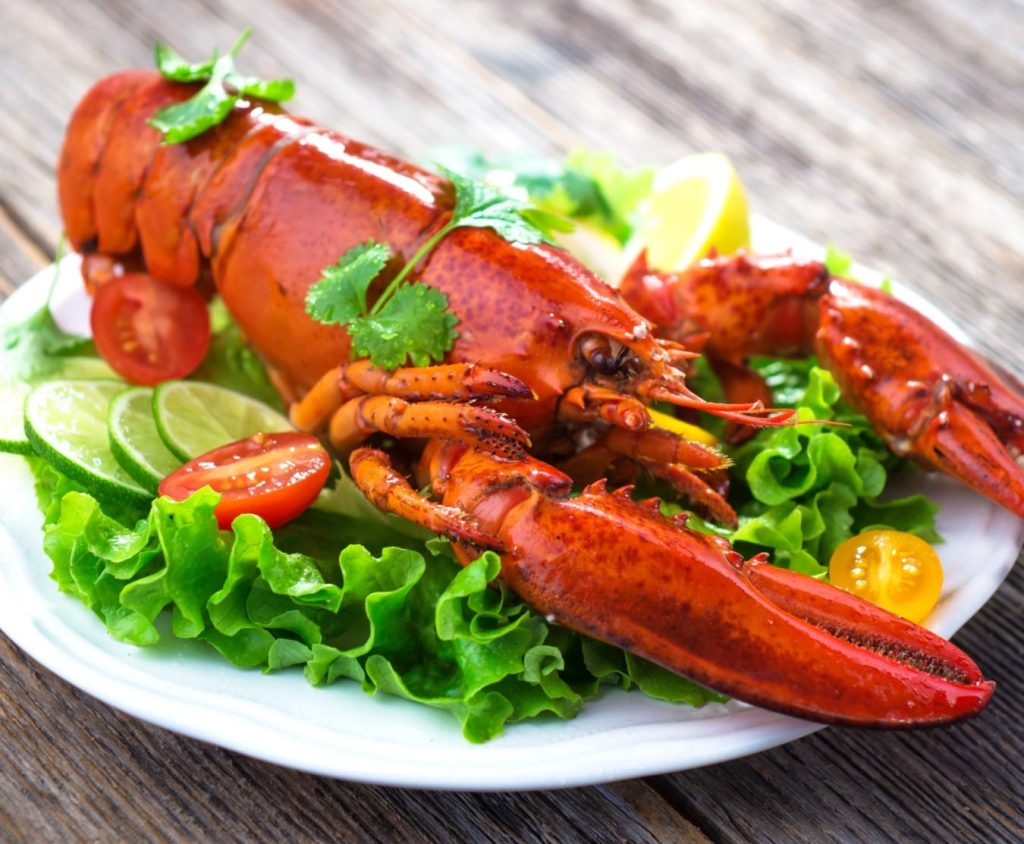 How does the fresh lobster have the possibility of activity?