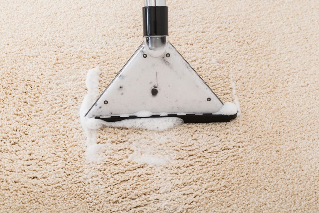 Why Choose Local Carpet Cleaning Experts in Christchurch for Your Home