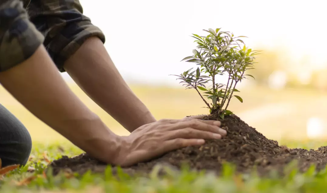 Dr Mercola Expands Holistic Lifestyle Approaches Strengthening Mind Body Synergy